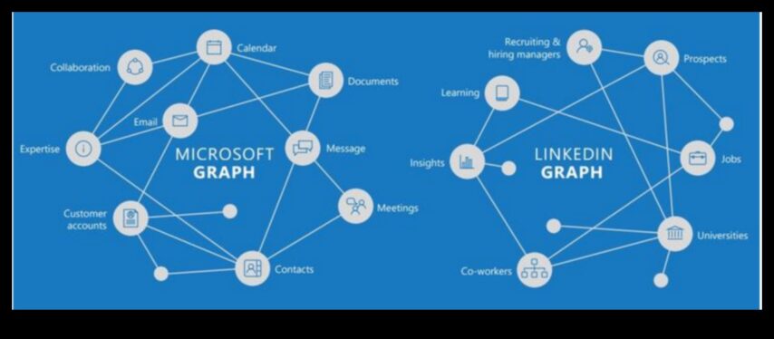 LinkedIn Dynamics Cum să folosiți platforma pentru promovarea în rețele profesionale